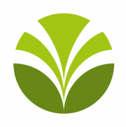 olam